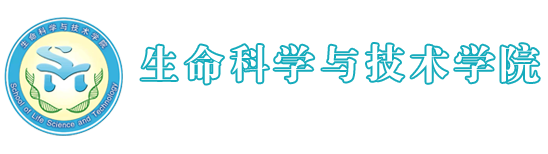BG大游平台